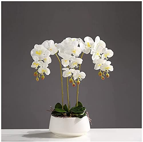 FURLOU 3/6/10 Köpfe Real Touch Künstliche Orchideen Bonsai, Gefälschte Kunststoff Phalaenopsis Blumen Anordnung Tischdekoration für Zuhause/Parlous/Hochzeitsfeier(Color:3white)