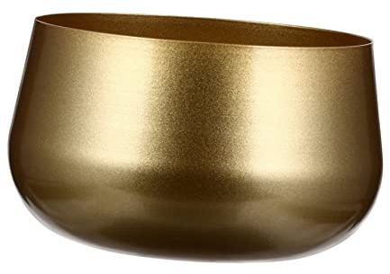 BESPORTBLE Pot De Fleur Fer Forgé pour Succulentes Contenant Décoratif Aération Accessoire pour Balcon Table Bureau Chambre
