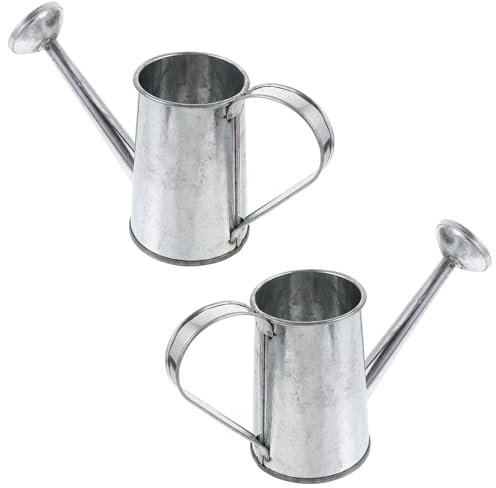 Hohopeti 2 pièces Arrosoir Fer pour Plantes d'Intérieur et Facile à Remplir Arrosoir Mini Jardin Intérieur Extérieur avec Grand Bec Verseur