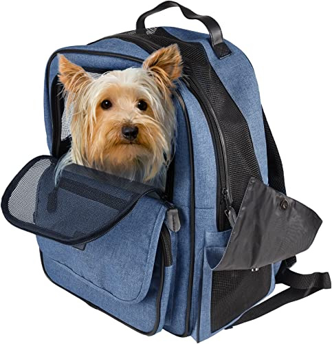 Hunderucksack - Rucksack Wiro Blau – 40x25x41cm – Polyester – Öffnungen vorn/Oben – Abnehmbarer Boden – Sicherheitsleine – Rückenverstärkung – Brustgurt – Trolley-fix