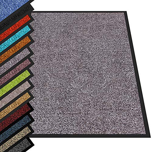 casa pura Rhine - Tapis d’entrée - Beige Clair - 60 x 90 cm | Paillasson absorbant et anti-salissures en polyamide, envers antidérapant en PVC, lavable à 30 °C, pour maison et locaux pro