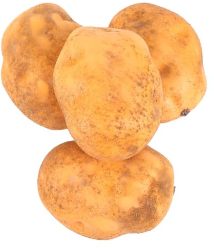 VICASKY 4Pcs Lifelike Potato Models Artificial Ornaments Small Props Decorations Realistic Vegetable Lightweight Photo for Home Kitchen Restaurant Displays Photography