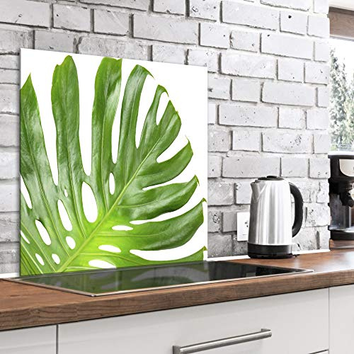murando Glass Splashback for Kitchen Backsplash Cooker Protector Tempered Glass Decorative Wall Art Panel Heat Resistant Graphic 60x60 cm / 24x24 Leaves Monstera Green White b-B-0427-aq-a