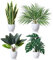 SOGUYI Kunstpflanze 40cm Künstliche Pflanzen im Topf Für Indoor Decor Home Schreibtisch Badezimmer Schlafzimmer Wohnzimmer Dekoration(4 Pack)