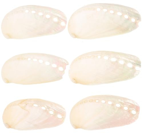 Gadpiparty Lot de 6 Coquilles d'Ormeau Naturelles 4-6 CM en Nacre Décoration Plage et Mariage Ornements d'Aquarium et Accessoire Photo pour Artisanat Bord de Mer