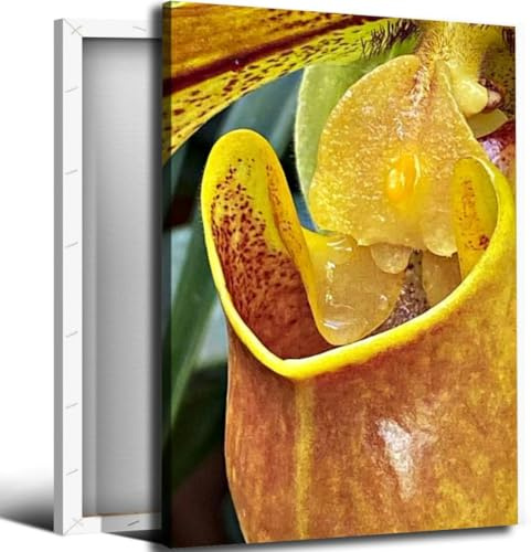 Tropical Pitcher Plant Bathroom Canvas Wall Art Decor Framed Photo Prints Picture for Bedroom Living Room Office Kitchen Posters Painting Artwork 16x20