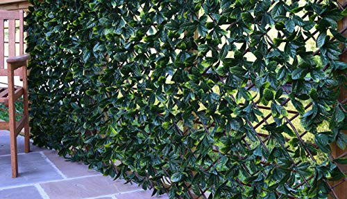Instant Hedging Artificial Screening Fencing Trellis Privacy Screen Garden Expanding Willow With Laurel Leaves - 2M x 1M - Can Be Extended!