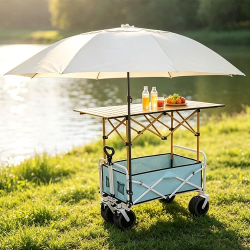 ZYZSY Chariot De Vente Ambulante, Stand Forain Pliable avec Auvent | Kiosque Mobile Portable pour la Restauration de Rue, Stand de Marchés Commercial(Blue,94cm/37in)