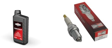 Briggs & Stratton 100007E Huile Moteur SAE 30, 1.0 litre & CHAMPION - Bougie D'Allumage CHAMPION QC12YC - Durable & Fiable - Haute Qualité - Equivalent NGK BKR5ES, NGBKR5ES