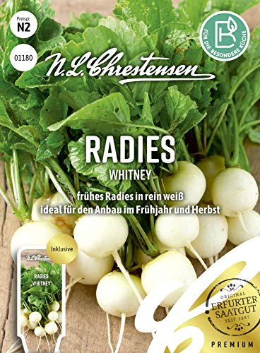 Radies Whitney N.L.Chrestensen Samen 1180