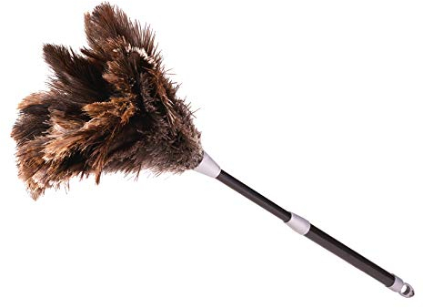 africX Strauß Staubwedel mit originalen Straußenfedern - Staubwischer mit Teleskopstiel für müheloses Staubwischen - Ausziehbar bis 73 cm Staubfänger