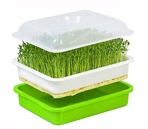 Kresse Anzuchtschalen, Keimschale Kresse, Anzuchtplatte mit Deckel, Microgreens Anzuchtschalen, Familiengarten Feuchtigkeitsspendend Soil Free Seed Keimschalen Sprossen Klein Pflanzen Samen Anzucht