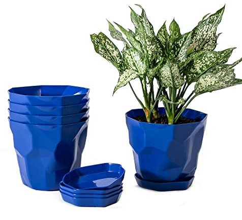 LIBOOI Lot de 5 pots de fleurs en plastique de 17 cm, taille moyenne avec trou de drainage et soucoupe, pots de fleurs classiques pour intérieur ou extérieur pour orchidée, lys de paix, araignée,