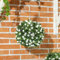 Decorative Artificial Plants, 2025 New UV-Protected Artificial Plant Topiary Rose Balls, Topiary Balls Fake Flower for Home Indoor Outdoor Decor(White)