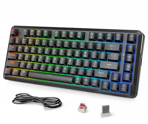 Redragon K713 Wireless Mechanical Keyboard, Gasket Mounted RGB Gaming Keyboard, 3-Mode (2.4G/BT/USB), Pre-Lubed Linear Red Switches, 75％ Layout, 82 Keys Hot Swappable for PC/Mac - Black