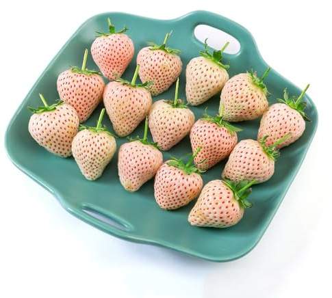 Semillas de fresa perenne resistente - semillas plantas de jardín bonsái en maceta fruto columnar árboles para jardín Plantas balcón, jardín resistentes árbol frutal resistentes para 200pcs