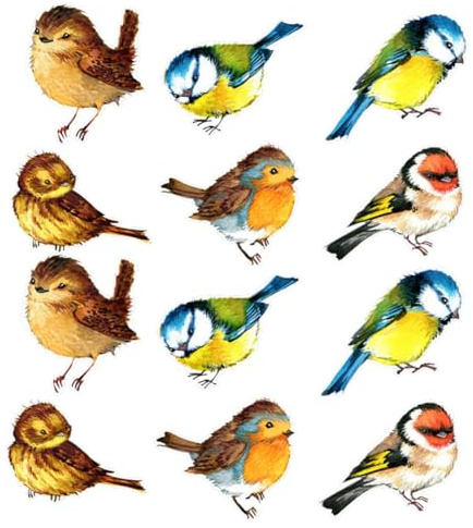 jojofuny Adhesivos Estáticos Anticolisión para Ventanas DIY Pegatinas Removibles sin Adhesivo Decorativas Diseño de Pájaros Coloridos Paquete de 12 Unidades para Protección de Aves y