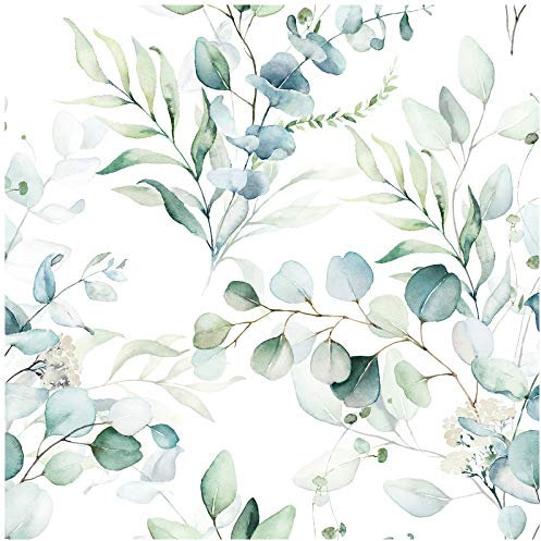 HAOKHOME Self Adhesive Wallpaper Boho Green/White Eucalyptus Leaf Floral Wall Mural Home Kids Decor Renter Friendly Wallpaper 3m x 44.5cm