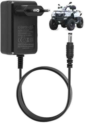 Caricatore 6V per Bambini Guida Elettrica con Aut, 6V Caricabatterie per Guida Elettrica con Auto su Giocattoli Moto SUV ATV Quad Elettrica Bambini Elettrico Bici Elettrico Ride On Accessor