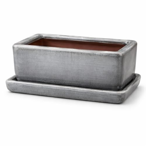 FRANCACOR Maceta TERRINA Bonsai Barro ESMALTADO Colores con Plato - Jardinera Rectangular con Plato (Gris)