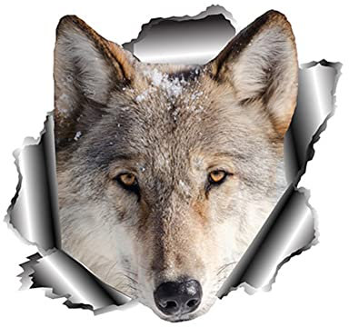 Wolf Kopf Auto Aufkleber,2 Stück Reflektierende Wolf Vinyl Aufkleber, 3D Wolf Realistisch Aufkleber Selbstklebende Wasserdichte Motorhaube Aufkleber Auto Fenster Karosserie Emblem Sticker Auto Styling