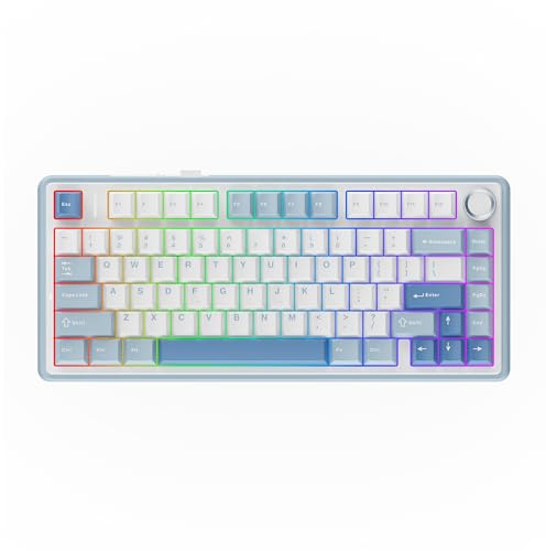 EPOMAKER x Aula F75 Gasket Mechanische Tastatur, 75% Hot swap-fähige Gaming-Tastatur mit Fünf-Schicht-Polsterung&Knopf, BT/Wireless/USB-C, RGB (Sea Salt Blue, LEOBOG Reaper Switch)