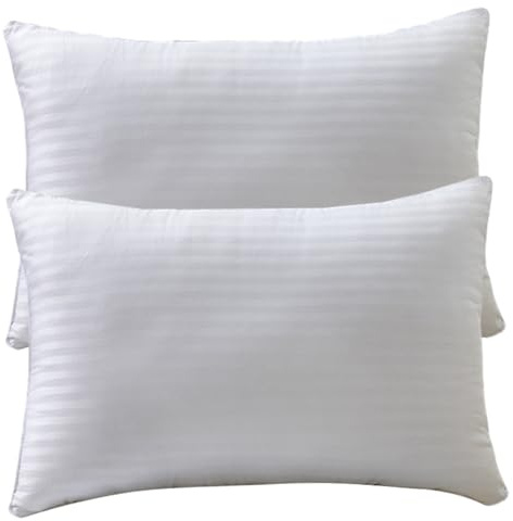 DAGLLGEW Lot de 2 oreillers de lit, oreillers d'hôtel Luxe, Doux et ergonomiques, Coussin Moelleux et Frais pour Le Dos, Le Ventre Les dormeurs latéraux, en Duvet 50 x 80 cm, Oreiller r