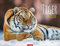 Tiger Kalender 2026: Die majestätischen Großkatzen in einem großen Wand-Kalender. Hochwertiger Fotokalender mit Porträts der verschiedenen Tigerarten 44 x 34 cm Querformat (Tierkalender Weingarten)