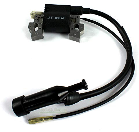 perfektGarten Bobine d'allumage compatible avec scarificateur essence Fuxtec FX-BV140 (FX - BV 140)