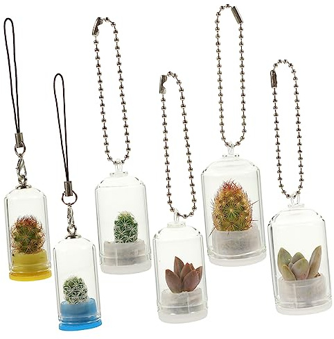 Happyyami Miniatur Glasvase Schlüsselanhänger Pflanzenstartervasen Aus Glas 6 Stück Verschiedene Größen Mit Kordel Für Mikrolandschaft Und Schlüsselbund Dekor