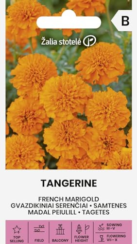Zalia stotele | Tagetes - TANGERINE Semillas de flores | Flores anuales naranjas | Para parterres balcón borduras | Semillas de jardín | 1 sobre