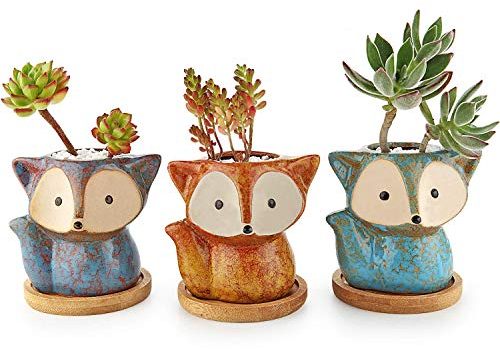 T4U Fuchs Sukkulenten Töpfe Keramik mit Untersetzer 3er-Set Blumentopf Klein für Mini-Pflanzen