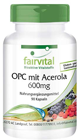 Fairvital | OPC Traubenkernextrakt 600mg mit Acerola - 90 Kapseln - HOCHDOSIERT - VEGAN