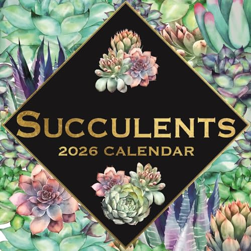 The Gifted Stationery 16-Month Square Wall Calendar - Succulent Artwork & 2026 Wall Planner - Includes 180 Reminder Stickers for 2026 Calendar - 12 x 12 in, Sep 2025-Dec 2026