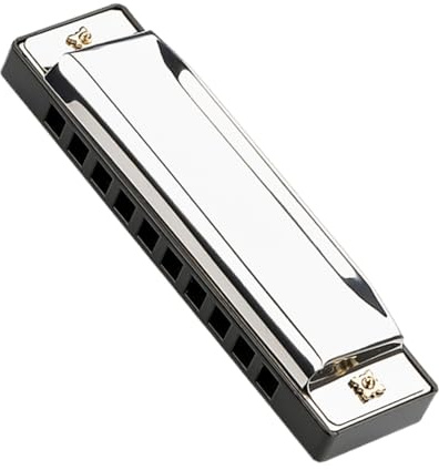 Garneck 10löcher Mundharmonika Diatonisch Tragbar Für Anfänger Kleine Mundharmonika Mit Edelstahlgehäuse Und Abs-material Musikinstrument-