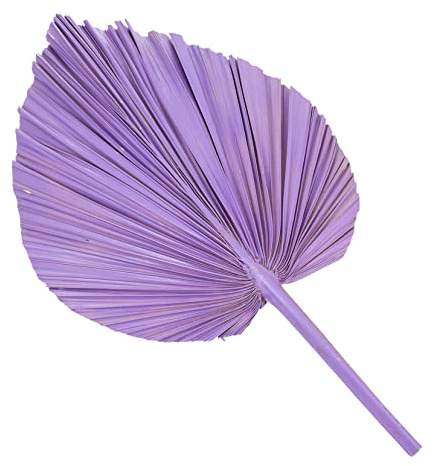ORFOFE Palm Leaves Dried Palm Leaf Fan for Wedding Layout Prop Adornment Flower Adornment for Indoor Outdoor Wedding Party Decor