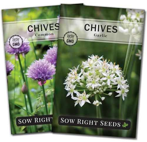 Sow Right Seeds - Chives Seed Collection for Planting - Non-GMO Heirloom Common and Garlic Varieties - Ideal for Outdoor Planting, Containers, or Kitchen Gardens - Culinary Favorites - Gardening Gift
