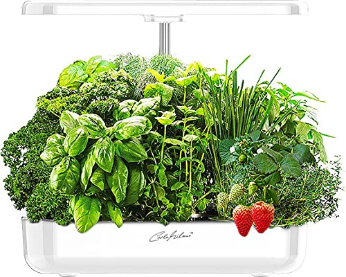 Carlo Milano Pflanzenanzucht Station: XL-Gewächs- & Anzucht-Station mit Pumpe, für 12 Pflanzen, 3,5 l Tank (Anzuchtstation Pflanzen, Aufzuchtstation, Indoor Gewächshaus)