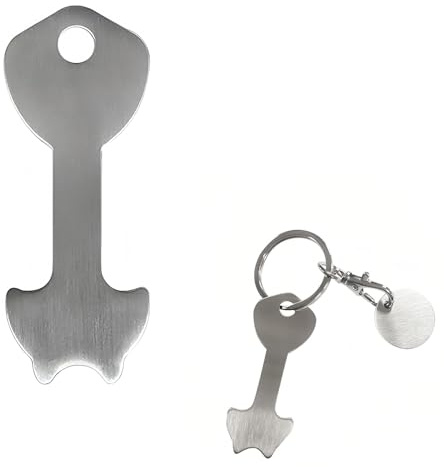 Luckious Set of 2 Shopping Trolley Release Keys, Shopping Trolley Remover, Stainless Steel Removable Shopping Trolley Token, Coin Keychain