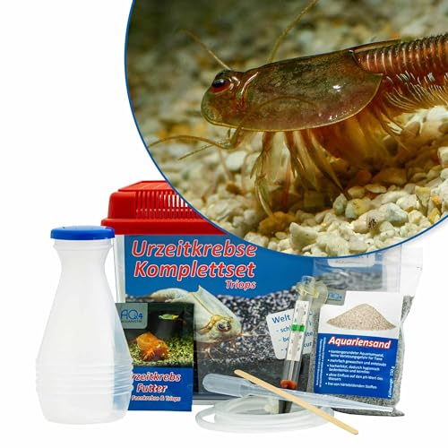 AQ4Aquaristik Triops granarius Starterset: ca. 100Urzeitkrebse Eier, 2,5 l Aquarium, Zubehör, Futter und Anleitung