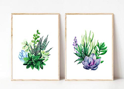 Din A4 Kunstdruck ohne Rahmen - 2er Set - Kaktus Sukkulenten Cactus Haworthie Natur Aquarell Druck Poster Bild