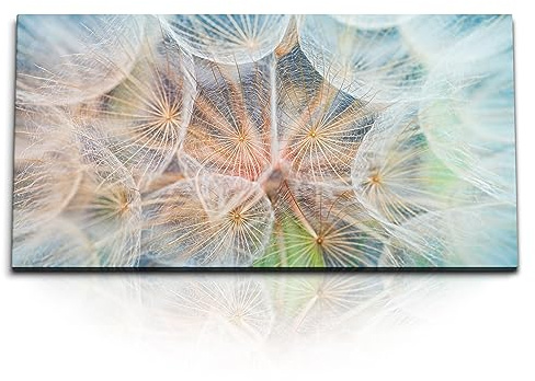 Paul Sinus Kunstdruck Bilder 120x60cm Pusteblume Makrofotografie Hellblau Dekorativ