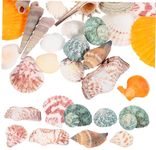 Yardwe 1ensemble Décorations Naturelles Coquillages De Conch pour Aquariums Ornements pour Aménagement De Bassins Et Accessoires Photographiques Modèles Variés