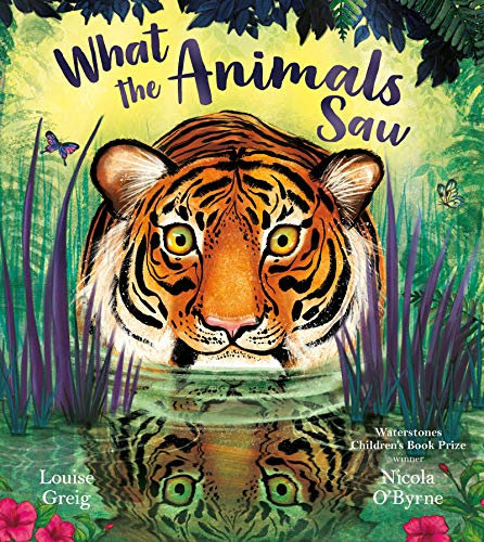 What the Animals Saw: What if you could see through the eyes of an animal? Illustrated by a Waterstones Prize winner!