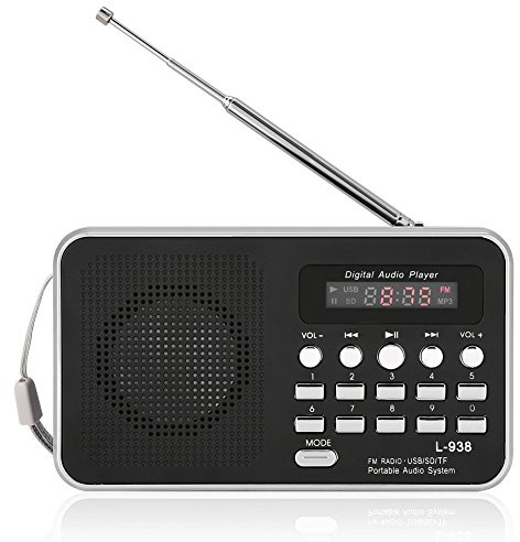 Ortable Portátil Reproductor de Audio Digital de Alta fidelidad Altavoz de Música Soporte FM Radio TF Tarjeta SD USB AUX con Pantalla Mundo Universal FM 87.5-108,Radio portatil Digital