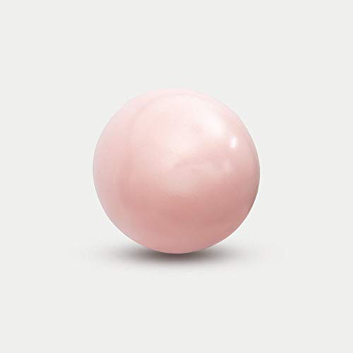 ZCXBHD 25 cm Gymnastikball Anti-Burst 、 Rutschfester Gymnastikball Yoga Ball Balance Ball Für Fitness Pilates Yoga Gym （2 Stück）,Pink