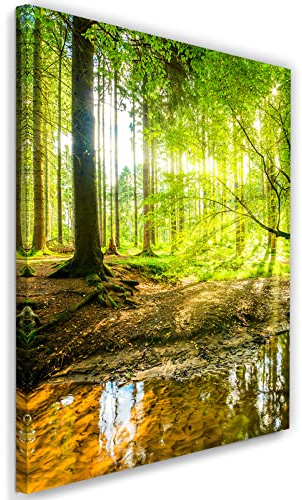 Feeby Vlies Leinwandbild XXL Strom Landschaft Sonnenstrahlen 80x120 cm Wandbild Kunst Bilder Schlafzimmer Deko Wohnzimmer Wald Bäume Pflanzen Natur Grün