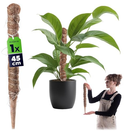 KADAX Monstera Rankhilfe – Pflanzstab aus Kokosfaser (45 cm), Kokosstab & Moosstab für Zimmerpflanzen, Kletterhilfe & Pflanzenstütze für Innen- und Außenbereich