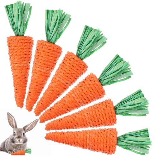 Didiseaon 6pièces Jouets à Mâcher Tressé pour Animaux De Compagnie Jouets à Mâcher Molaire pour Lapin Et Hamster Fournitures De Jeu pour Rongeurs
