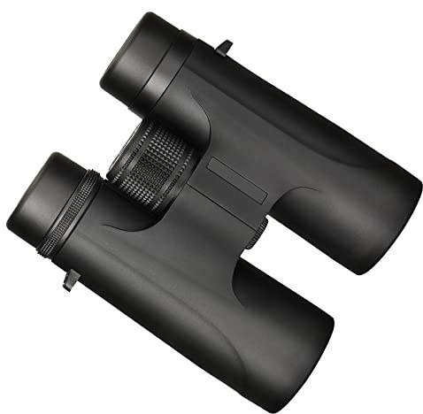 Fernglas 10x42 Kompakt Testsieger Teleskop Breites Sichtfeld GroßEs Okular Fernglas FüR Erwachsene Jagd Wandern Reisen